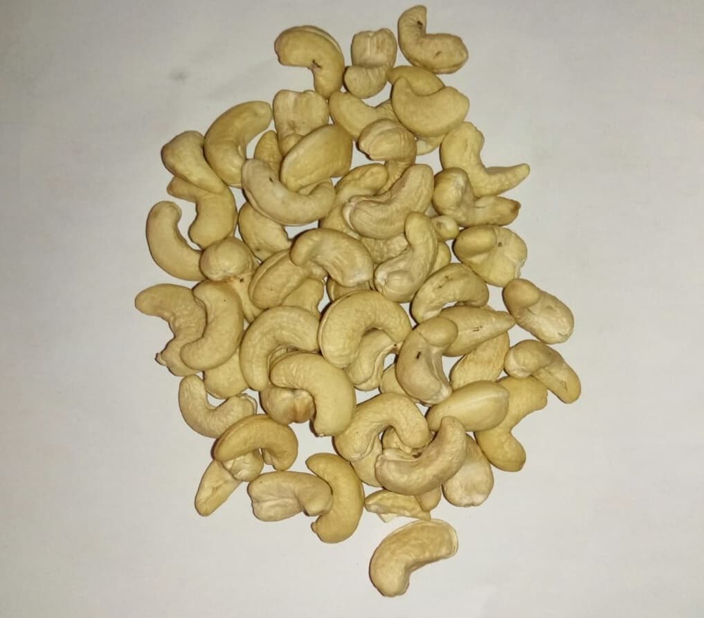 Cashew Nut Raw and Processing